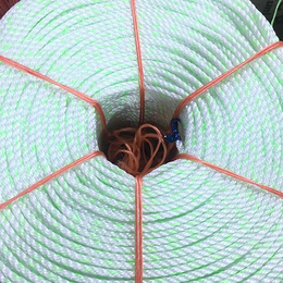 日照远翔绳网(图)-海水养殖绳价格-福建海水养殖绳
