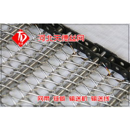 天德不锈钢运输带(在线咨询)-通化链条网带-烤炉链条网带