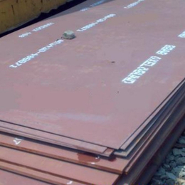 天津卓纳钢铁有限公司-德州进口*500*钢板