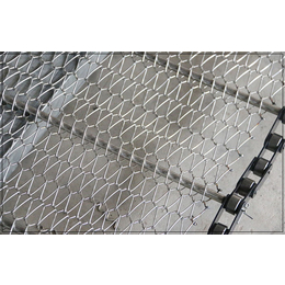不锈钢网传送带(图)-蛋托设备不锈钢网链-彭阳不锈钢网链