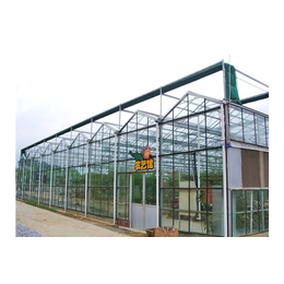 玻璃温室-青州瑞青农林科技-玻璃智能温室大棚造价