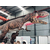 节日公园展览 大型恐龙模具出租出售缩略图3