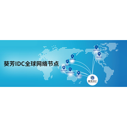 香港idc服务器租用 香港伺服器租用 香港cn2云服务器