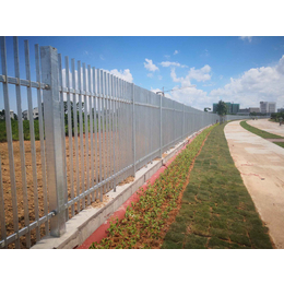 工业区围墙铁隔离栏 佛山围墙铁栅栏 围墙护栏网