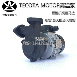 高温导热油泵 YS-15A泵 高温循环泵 模温机高温马达