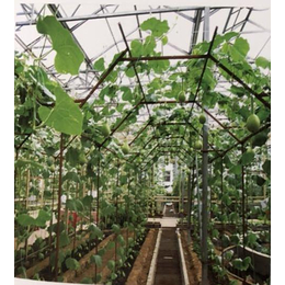 泰宇农业机械(图)-仙人球无土栽培种植槽采购-六盘水种植槽