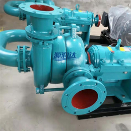 源润水泵(多图)-125ZJE煤粉压力泵