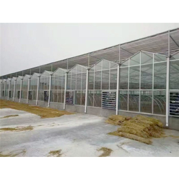 玻璃大棚-青州瀚洋农业-现代化玻璃大棚