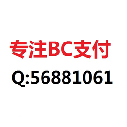 Bc-SSc第三方支付接口D0代付通道缩略图