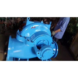 强盛泵业-湖南SH型双吸泵加工