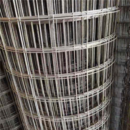 电焊网-百鹏丝网-衡水建筑电焊网片孔径尺寸