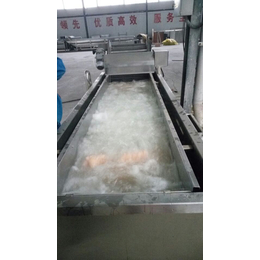 广安海产品解冻设备-龙翔工贸食品机械-海产品解冻设备哪家好