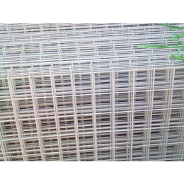 白城镀锌建筑网片-利利网栏网片生产厂家-镀锌建筑网片的用途