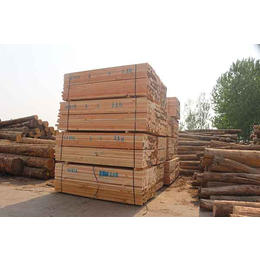 福建辐射松建筑木材-日照辰丰木材加工-辐射松建筑木材供应商
