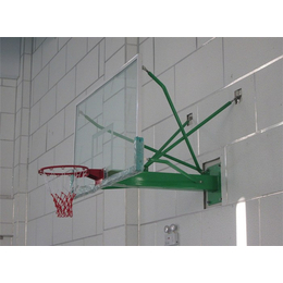 电动液压篮球架供应-永旺体育(在线咨询)-韶关篮球架供应