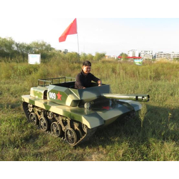 湛江双人游乐坦克-游乐坦克多少钱一台-双人游乐坦克车