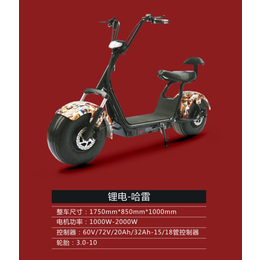 电动自行车- 江苏邦能电动车-锂电折叠电动自行车