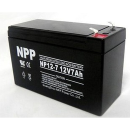 耐普12V65AH铅酸免维护蓄电池 应急设备*