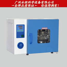 供应上海一恒 DHG-9145A恒温烘箱 300度高温烤箱