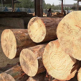 松木木材-佳润木业-松木木材价格