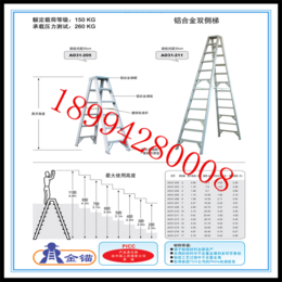金锚供应FMA3-116IA玻璃钢平台梯 欧洲标准梯子