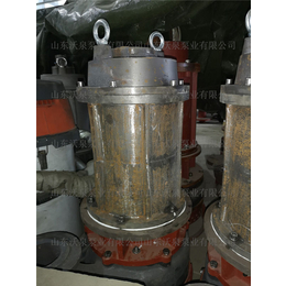 梧州高合金沙浆泵 电动抽沙泵 操作简单