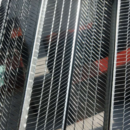 安徽云南酒店墙体用免拆钢网模网 建筑网模 轻钢别墅筑浆用网缩略图