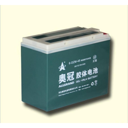 管式胶体电池-奥冠新能源**-衢州胶体电池