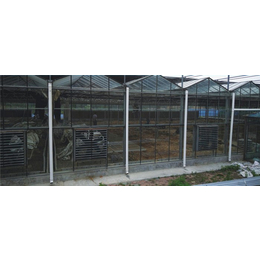 全玻璃温室大棚价格-玻璃温室大棚-鑫凯农业承接各类大棚
