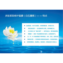 铜陵博超企业(图)-面膜加盟哪个好-杭州面膜加盟