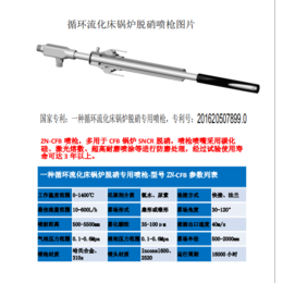 河北中能电力 ZN-TX系列 CFB锅炉脱硝喷枪