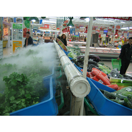 温州超市*保鲜加湿设备 zx-163型设备供应