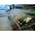 温州超市*保鲜加湿设备 zx-163型设备供应缩略图3