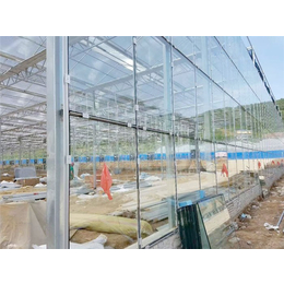 玻璃温室造价-玻璃温室-青州瀚洋农业