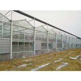 玻璃温室工程-玻璃温室-青州瀚洋农业