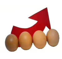 蛋鸡养殖管理中突然出现产蛋率下降是什么原因？