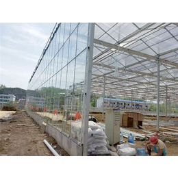 青州瀚洋农业(图)-玻璃温室大棚-玻璃温室