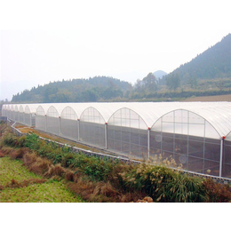 玻璃连栋-青州瀚洋农业-玻璃连栋温室