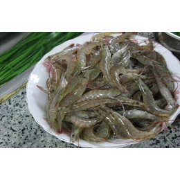 河虾养殖-苏州河虾-老经原生农业