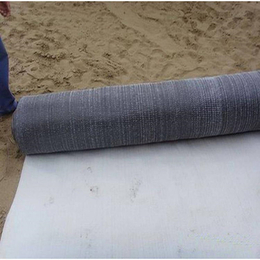 膨润土防水毯供应商-膨润土防水毯-正瑞塑业售后保障(查看)