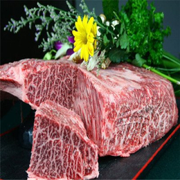 澳大利亚牛肉进口到上海港进口报检报关