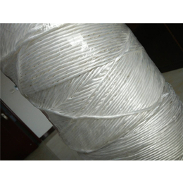 瑞祥包装(图)-打包塑料绳-塑料绳