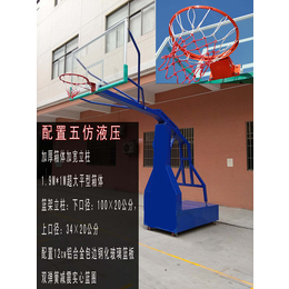 电动液压篮球架定制-辉跃体育设施公司-益阳篮球架定制