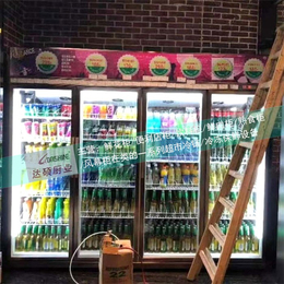 临汾饮料冰柜-达硕制冷设备生产-饮料冰柜价格