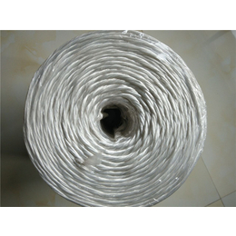瑞祥包装厂家*(多图)-白色塑料绳出售-湖南塑料绳出售