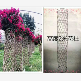 紫薇花瓶植物艺术盆景花瓶编织骨架造型编织技术