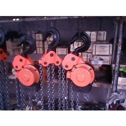 郴州DHP型群吊电动葫芦加工-欧力特起重