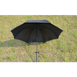雨伞多少钱-丽虹雨伞定制-四川雨伞