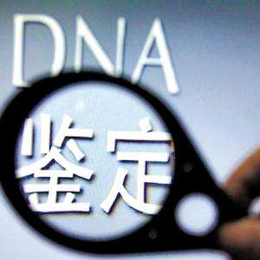 江门无创DNA亲子检查的优势