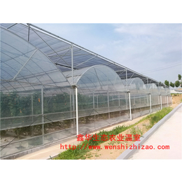 现货* 连栋薄膜温室 环保塑料薄膜大棚 农用简易日光温室